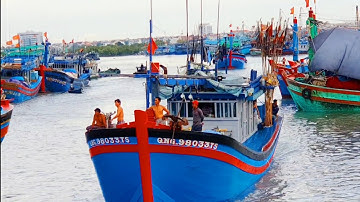 Tàu Lưới Vây Quảng Ngãi Ra Quân Có So sánh Được Lưới Vây Bình Định Không