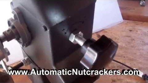 Adjustment Knob for Automatic Nutcracker ~ www.automaticnutcrackers.com