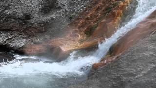 Yellowstone National Park Footage Creative Commons Free License