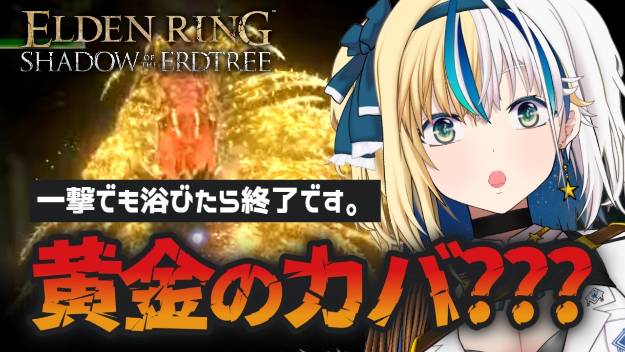 【 ELDEN RING 】ぺらぺらなDLC！長刀で黄金のカバ倒す【#ほしより / Vtuber】