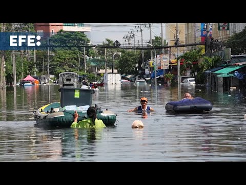 Thailand flood death toll rises to 19 as water levels drop in Bangkok
