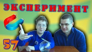 Как сделать легкий опыт, эксперимент дома - Электризация - Отец и Сын №57(, 2014-11-07T09:54:07.000Z)