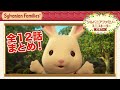 【シルバニア】シルバニアファミリー ミニストーリー　ピオニー 全12話〈公式〉