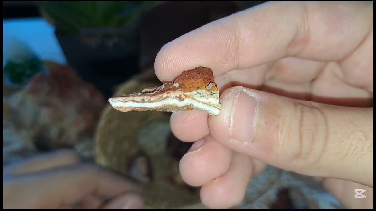 Değerli kaya doğaltaş #youtubeshorts #doğa 