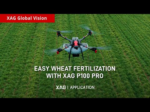 Application | Easy Wheat Fertilization with XAG P100 Pro