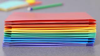 STEMSFX Best-Selling Heavy Duty Plastic Folders