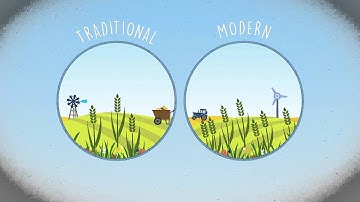 Pesticides in Perspective - Modern farming and biodiversity