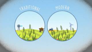 Pesticides in Perspective - Modern farming and biodiversity