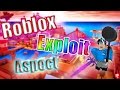 Roblox Hide Username Script