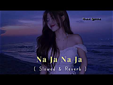 Na Ja Na Ja 🔥💗 || ( Slowed + Reverb ) || #fullscreenstatus #slowmotion #lofimusic || @tanu_lyricx||