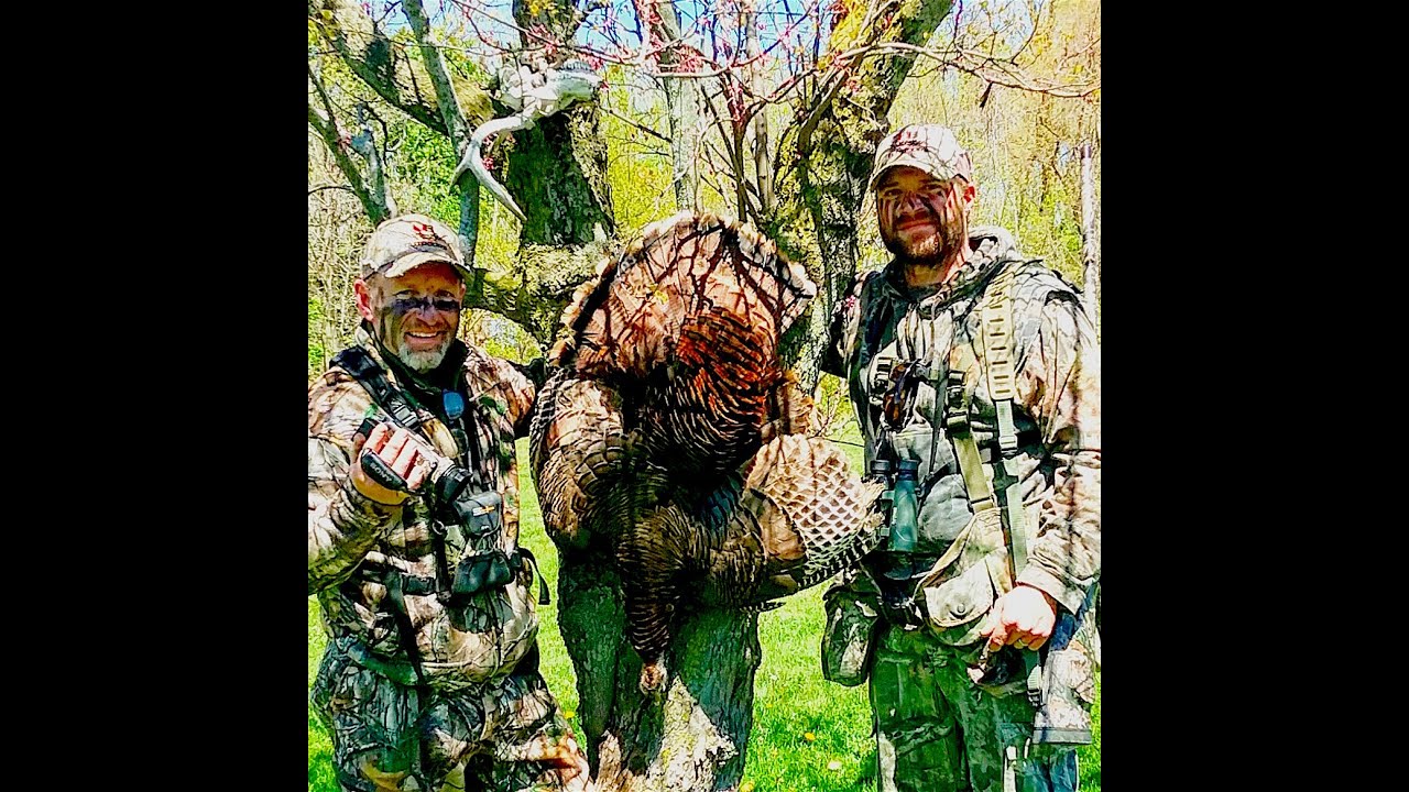 Wild bearded hen Turkey kill Circus Freak bearded Hen turkey hunt