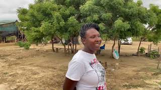 A diaspora lady return to Ghana 🇬🇭and goes into Poultry Farming