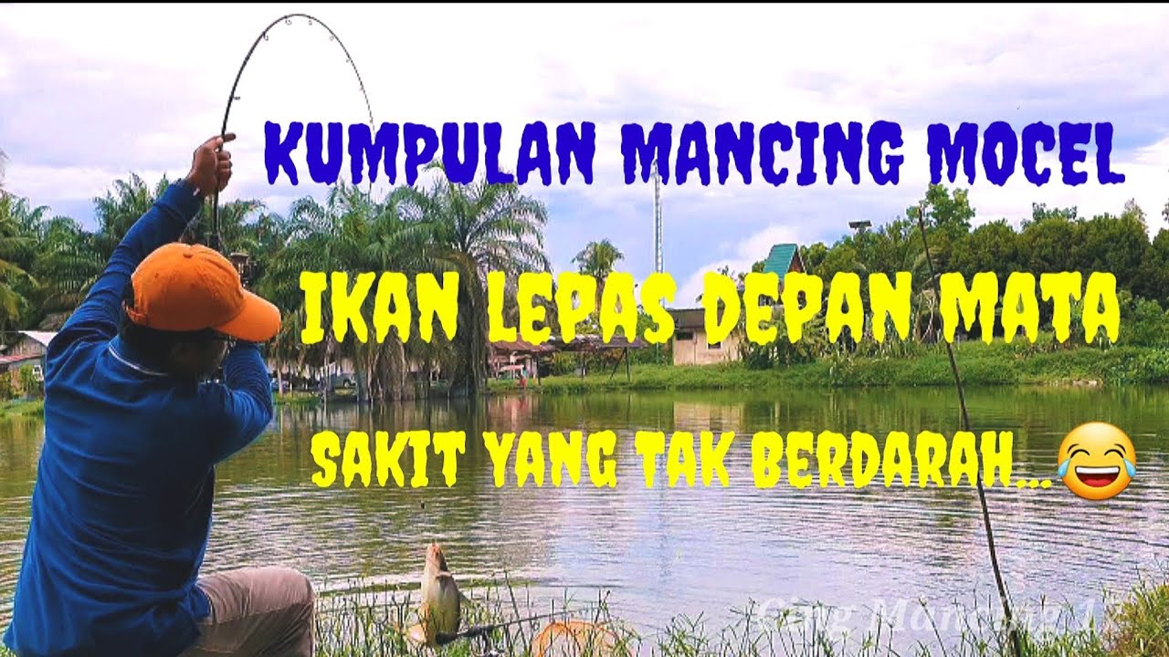 KUMPULAN MANCING MOCEL || IKAN LEPAS DEPAN MATA || Sakit Yang Tak Berdarah...😂