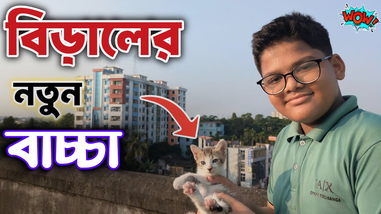 আমাদের টাওয়ারের বিড়াল বাচ্চা দিয়েছে | Cat Gave Birth in Our Tower | Golden Tower Family