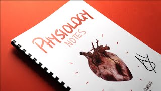 I made a TEXTBOOK out of my Handwritten iPad Pro Notes  A Short Film