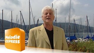 Mandy Von Den Bambis Unvergessene Hits