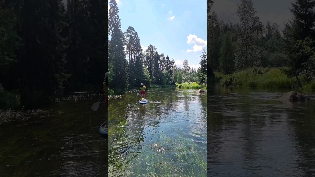 SUP board ride on the river