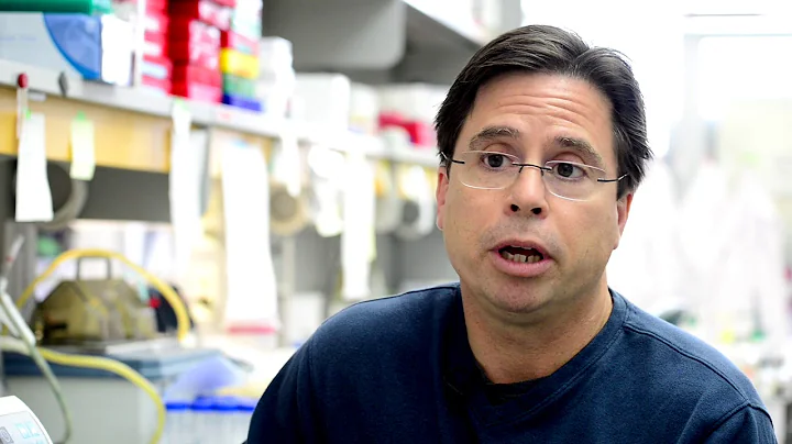 Genetic mutation may increase risk of pancreatic cancer in females