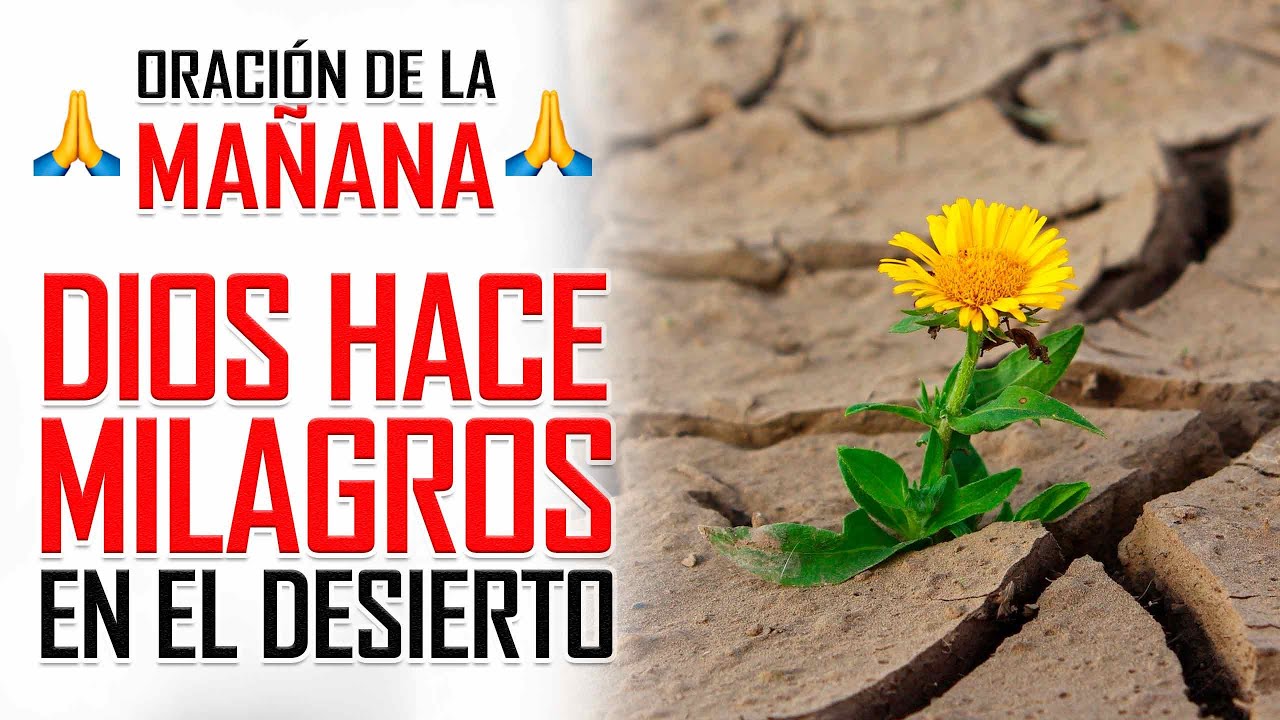 🔥 ORACION DE LA MAÑANA🙏LA CLAVE PARA QUE DIOS SE MANIFIESTE EN TU ...