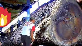 Most Expensive Record || Sawing Rare Wood with Sumatran Tiger Motif