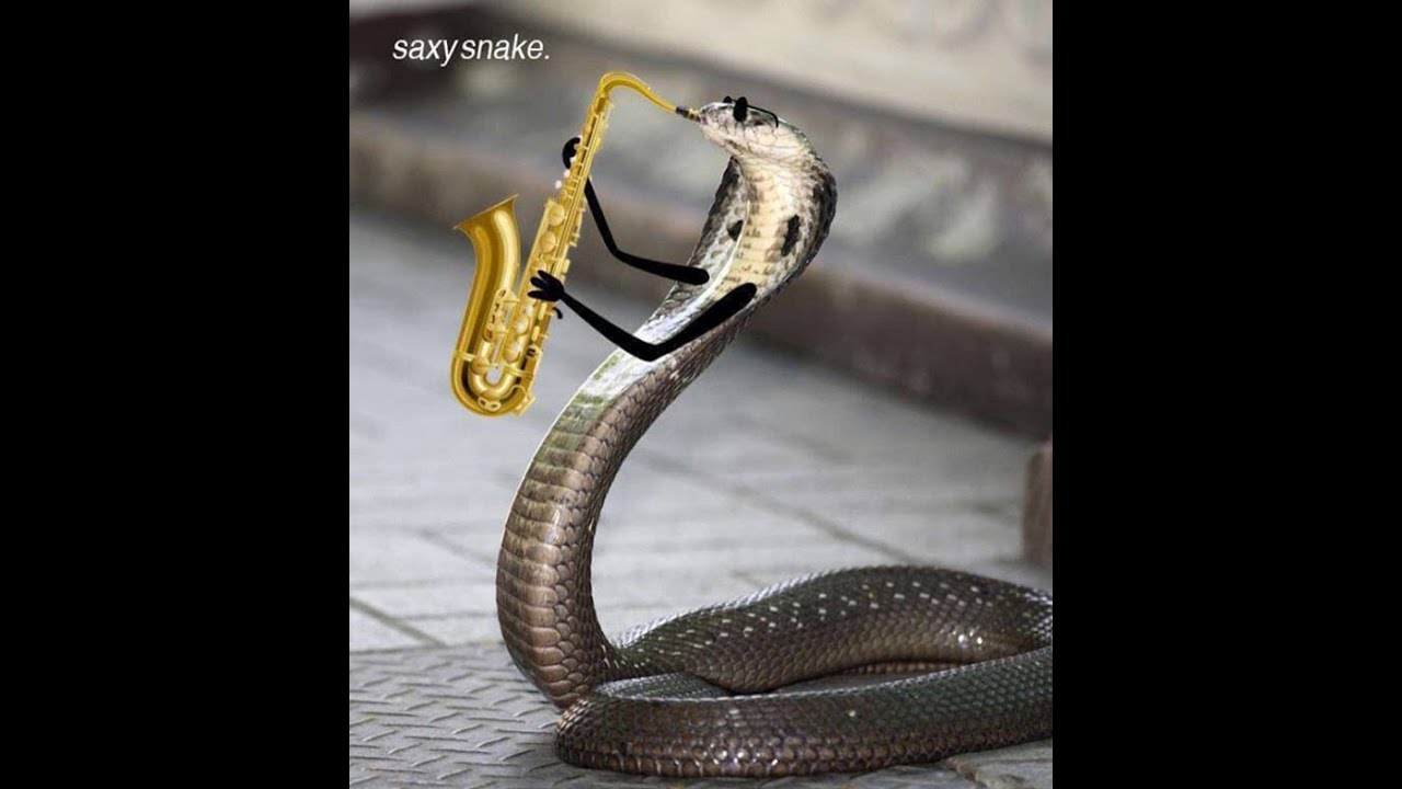 Snake exe