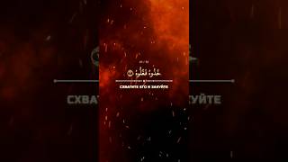 Омар Хишам Аль Араби. Сура Аль Хакка. 25-32 аяты