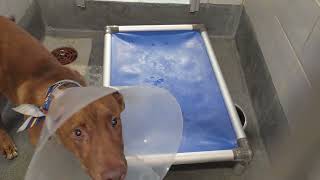 Acs A818057