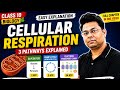 Cellular Respiration Explained Easily | Class 10 Biology