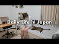Daily Life in Japan 🇯🇵 A Quiet, Relaxing Day Welcoming the Start of Autumn 🍁