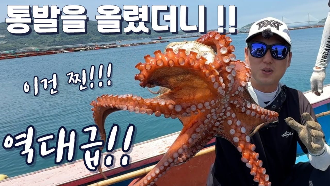 진짜 미친조항 최고급 생선은 다들었네요! 바다의 랜덤박스 통발!!