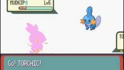 Pokemon Emerald - Part 2: Rematch With Brendan!