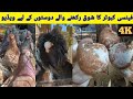 Fancy pigeon | Lalukhet Sunday bird market video Rates update Hindi/Urdu #Fancypigeon 