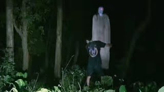 HUTAN SILUMAN URENG-URENG || ARGANI MISTERI || Live 09-MARET-2025