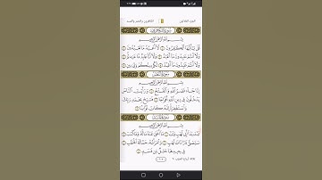 سورة المسد بصوت الشيخ مصطفى أحمد سيد