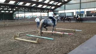 Groep 2 - Cavaletti Clinic
