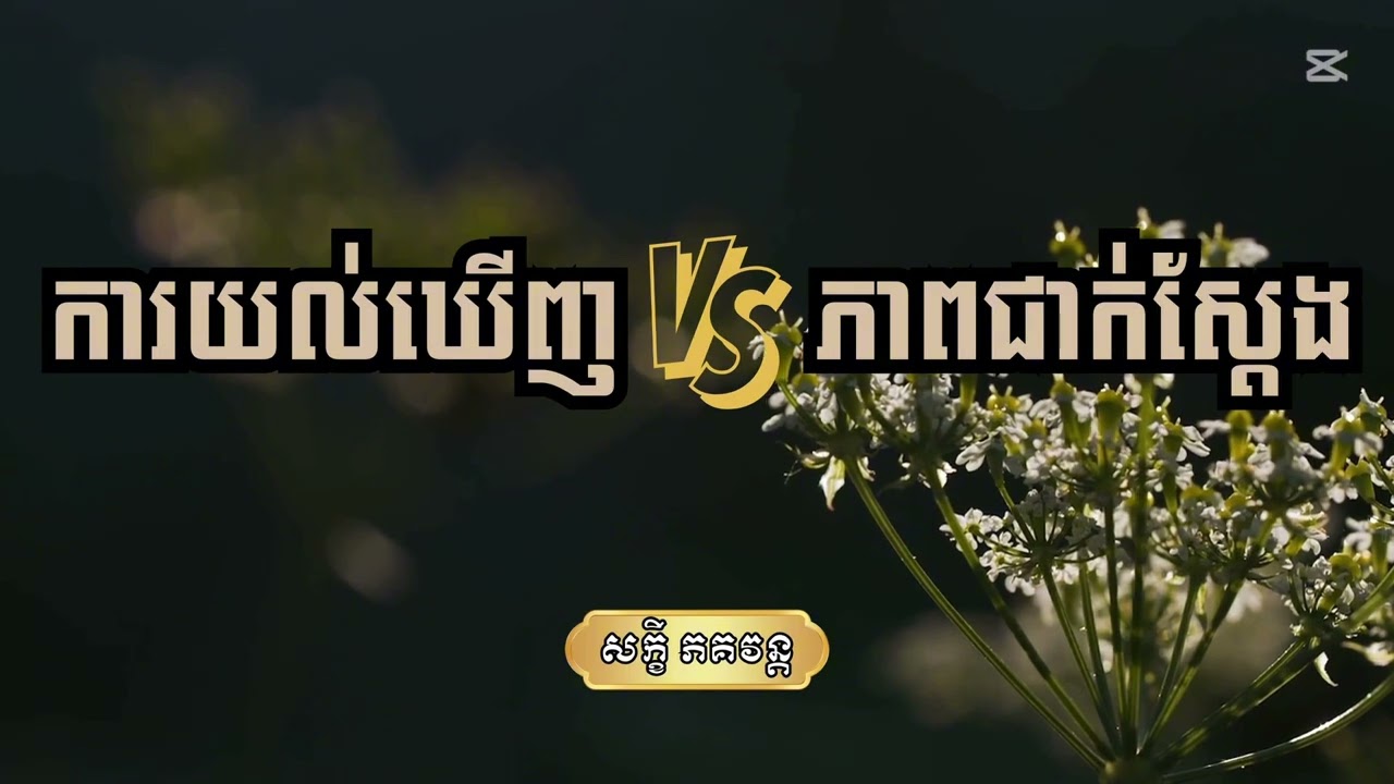 ការយល់ឃើញ VS ភាពជាក់ស្តែង