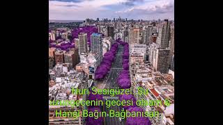 Nuri Sesigüzel..şu Uzungecenin Gecesi Olsam & Hangi Bağın Bağbanısan Gülüsen..