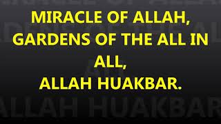 Miracle Of Allah