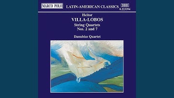 String Quartet No. 2: Allegro non troppo