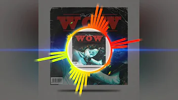 Post Malone - Wow (Dj Fizo Faouez Remix)