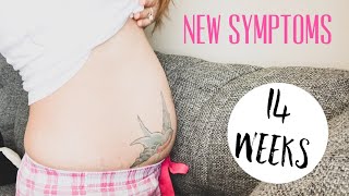 14 WEEK PREGNANCY UPDATE | BABY NUMBER 3