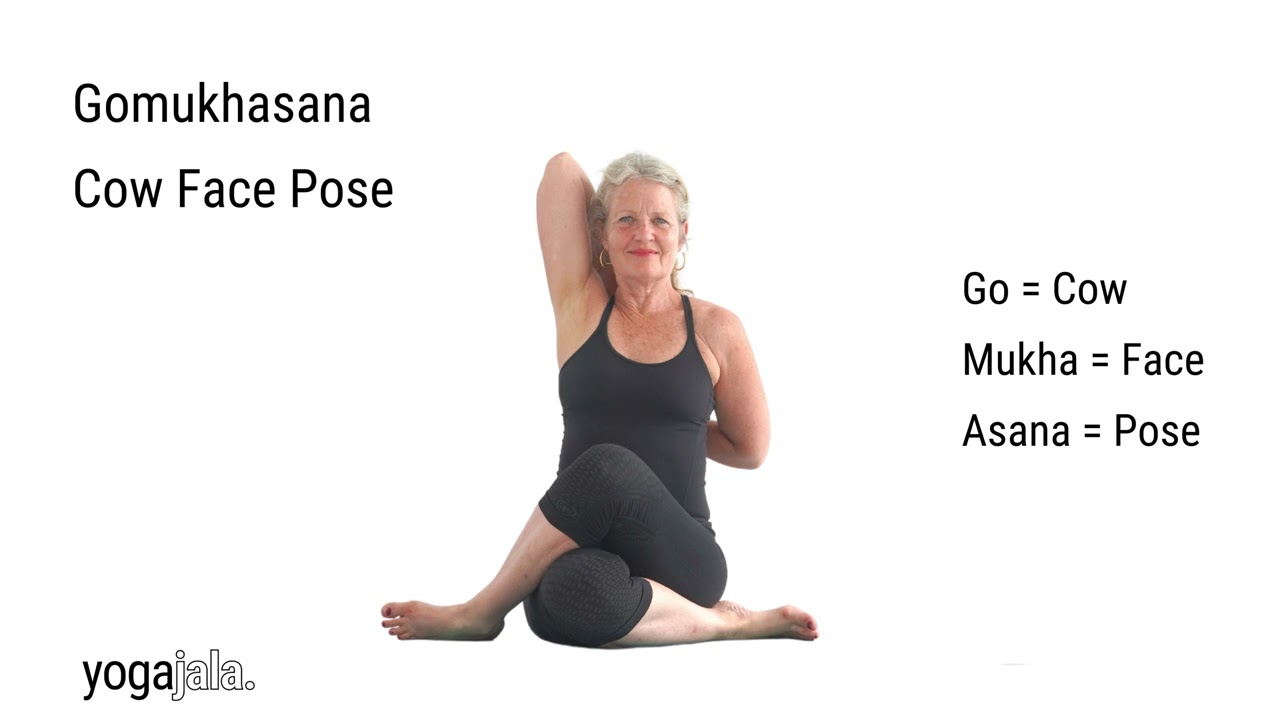 A fun sitting poses sequence to practise after you've warmed up with sun  salutations and standing poses. #Gomukhasana #Ardh… | Yoga poses, Yoga  class, Sitting poses
