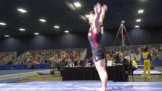 Connor Lewis - Vault - 2017 Winter Cup Prelims