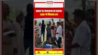 सास के अंतिम संस्कार में दामाद पर मगरमच्छ का हमला! SDRF ने निकाला शव #viral