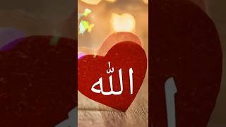 Allah has arranged this world in a very beautiful way #viral #islamic #naat #short