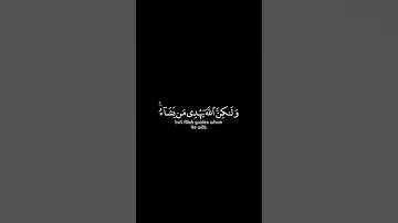 إنك لا تهدي من أحببت ولكن الله يهدي | كرومات قرآن كريم بصوت #ياسر_الدوسري | #سورة_القصص