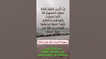 سورة النساء آية رقم (56) #سعد_الغامدي