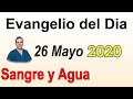 Evangelio Del Dia de Hoy - Martes 26 Mayo 2020- Mi Vida No Vale Nada- Sangre y Agua