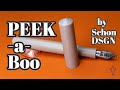 Schon DSGN&#39;s New PEEK-a-boo Fountain Pen Unboxing!