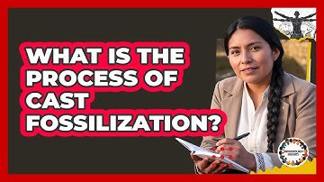 What Is The Process Of Cast Fossilization?